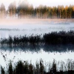 Morning mist over an Åland inland lake